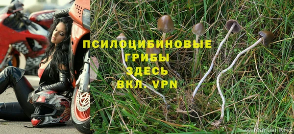 ALPHA PVP Балабаново