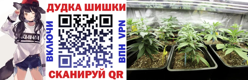 где купить наркоту  Серафимович  Каннабис семена 